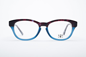 Two tone tortoise and blue glasses