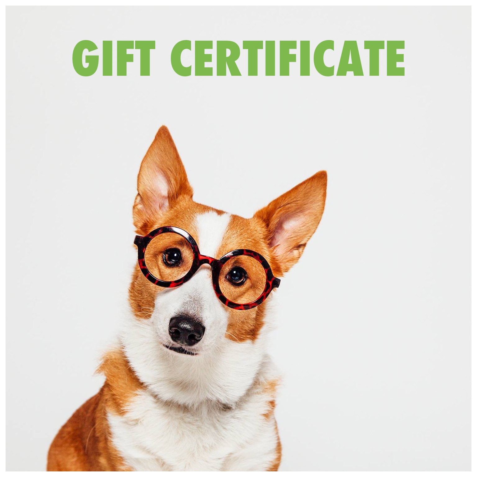 Sunglasses E-Gift Card, Online Gift Certificate